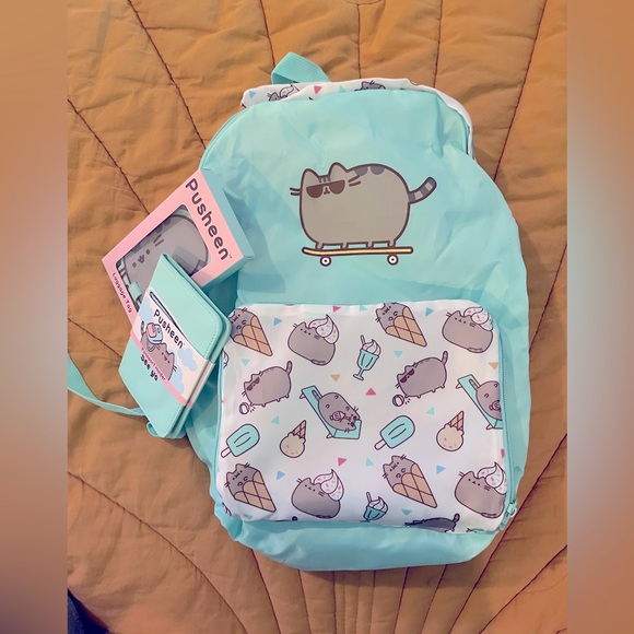Pusheen Accessories - Pusheen bundle from Summer 2017 subscription box